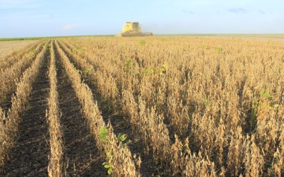 Valor Bruto da Produção agropecuária em 2016 deve cair 2,5%