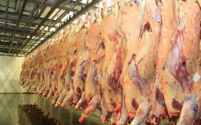 Exportações de carnes ‘in natura’ alcançam US$ 1 bilhão em janeiro