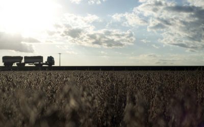 Falta de estratégia de venda no Brasil põe em risco lucro do produtor