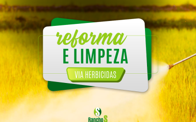 Reforma e limpeza via herbicidas