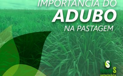 Importância do adubo na pastagem