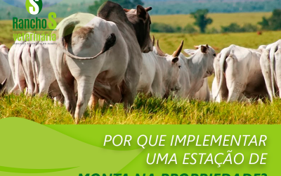 Por que implementar uma estação de monta na propriedade?