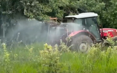 Aplicação de herbicida para limpeza de pasto