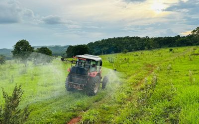 Aplicação de herbicida para limpeza de pasto