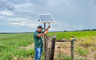 Entrega técnica e treinamento de cercas elétricas